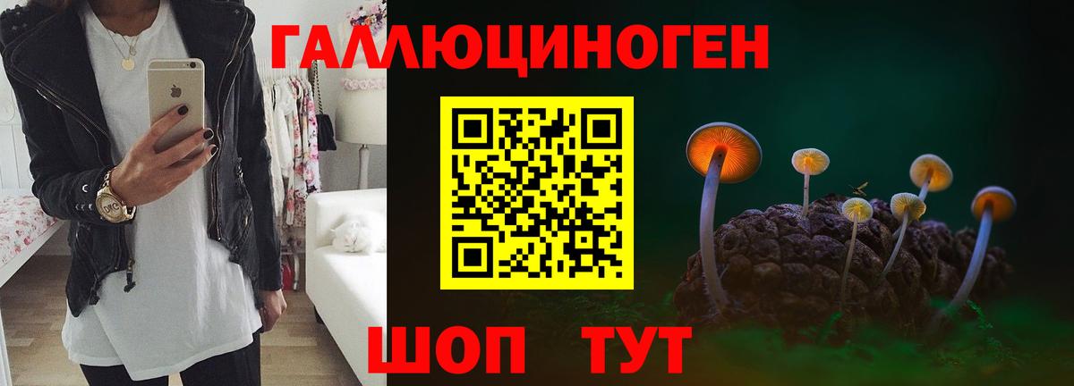 Псилоцибиновые грибы мухоморы  Вход с VPN  дарнет шоп  Узловая  Галлюциногенные грибы Psilocybe 